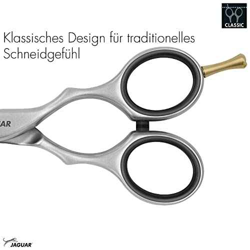 Jaguar Hairdressing Shears Pre Style Ergo 6.0 Inch Professional Stainless Steel Hair Cutting & Trimming Scissors for Salon Stylists and Barbers, Satin Finish Look, Classic Design, Made in Germany