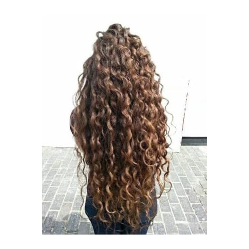 ALAZAN SHAMPOO OF HORSE, FOR HUMAN USE, WITH CHILE AND SABILA FOR OILY HAIR