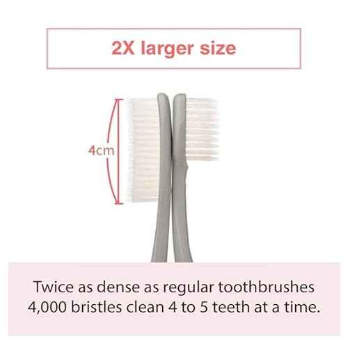 Wangta Soft Toothbrush, 10 Pack (Stone White) ? Best Manual Toothbrush for Maximum, Efficient Cleaning and Sensitive Gums and Teeth