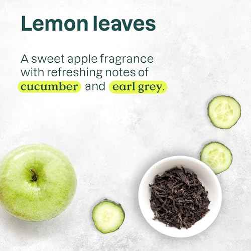 ATTITUDE Clarifying Hair Shampoo, EWG Verified, Restores Shine, Naturally Derived Ingredients, Vegan and Plant Based, Lemon Leaves and White Tea, 16 Fl Oz (Pack of 6)