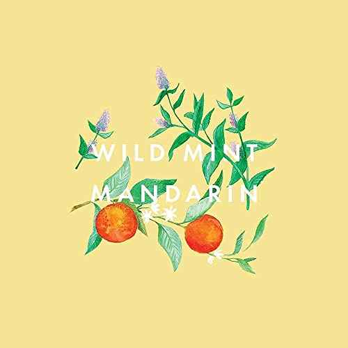 Neom ? Great Day Hand & Body Wash, 300ml | Wild Mint & Mandarin | Gently Cleanse & Soften¡¦