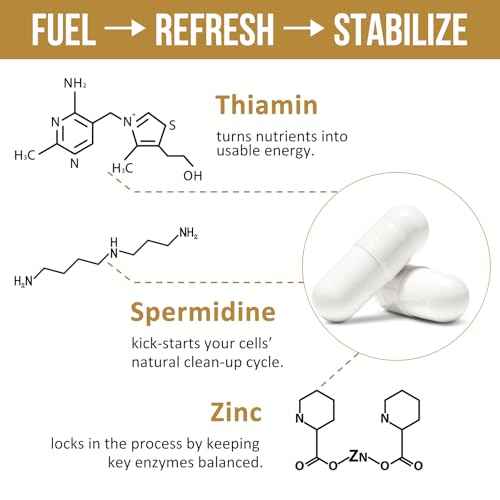 Spermidine Supplements 13mg - 1300mg Wheat Germ Extract Capsules Potent Formula with Higher Spermidine Content and Zinc for Healthy Aging, Daily Immune System and Cell Renewal, 120 Capsules
