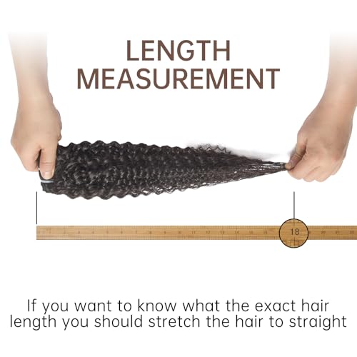 WEQUEEN Kinky Curly Human Hair Bundles Premium Virgin 100% Human Hair 3c/4a Curly Wave 22 Inch Single Bundle Natural Black
