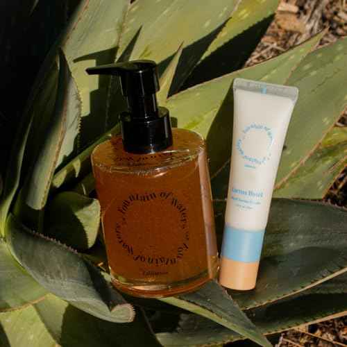 Fountain of Waters Cactus Hotel Hand Wash 300ml and Hand Serum Cream 45ml, Special Set of Gifts for Her - Vegan Cruelty-Free Premium Hand Wash with Almond Oil, Crafted in Korea