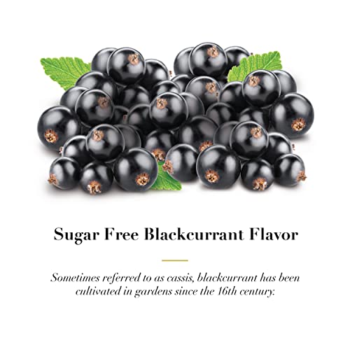 Dr. Doolittle¡¯s Sugar Free Soft Fruit Pastilles for Voice and Throat, Blackcurrant Flavor, 2.12 Ounce Tin, approximately 25 Count Package, 3 Pack