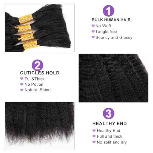 Kinky Straight Human Braiding Hair For Boho Braids Wet and Wavy Bulk Human Hair No Weft 100g (1Pack-4PCS) Yaki Straight For Micro Braiding (Kinky Straight£¨#1B), 22 Inch)