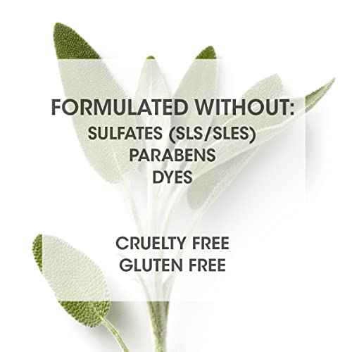 SEVEN Haircare Cubica 7-DAY Conditioner for Women + Men, Detangle and Moisturize Hair, Sulfate + Paraben Free, Cruelty Free with Honey, Shea Butter & Pro Vitamin B5, Made in USA