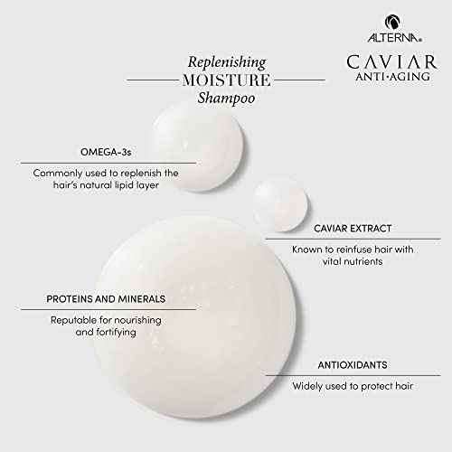Alterna Caviar Anti-Aging Replenishing Moisture Shampoo/Conditioner, 8.5 fl. oz.