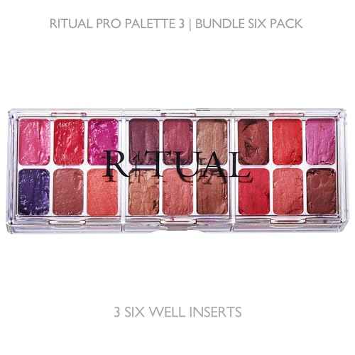 Empty Makeup Palette | 18 Wells | Modular Interchangeable Depotting System | Ritual Pro Palette 3 | 6 Well Bundle, Lipstick, Creams, Alcohol based makeup and paint, watercolor, Gouache, Acrylic paint