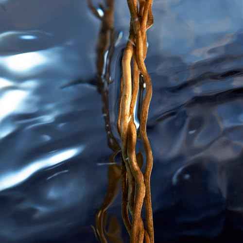 Davidoff Cool Water Reborn Eau de Toilette ? Woody Men's Cologne ? With Notes of Rosemary, Galbanum & Vetiver ? Long Lasting Fragrance