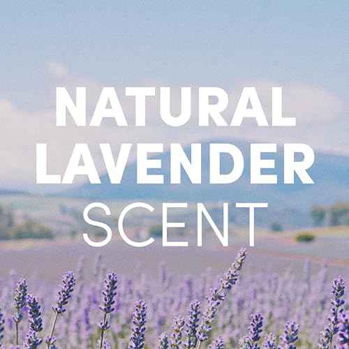 Clean Revolution Foaming Hand Soap Refill Supply Container, Ready to Use Formula, Gluten Free, Natural Lavender Fragrance, 128 Fl. Oz, 4 Pack