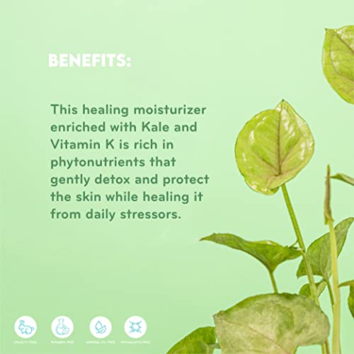 p?rlisse Kale + Vitamin K Hydrating Face Moisturizer - Face Moisturizer for Detoxifying & Pore Tightening - Packed with Antioxidants for Smooth, Radiant & Youthful Skin (1.7 Fl oz)