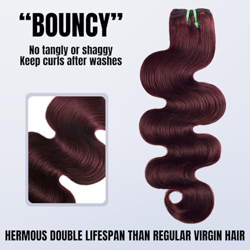13A Double Drawn 99J Dark Burgundy Human Hair Bundles Body Wave, Double Lifespan Than Regular Bundle Keep Silky & Soft After Washes Colored #99J Wine Single Bundles Raw Hair Quick Weave 10 IN