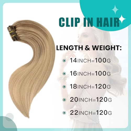 SURNEL Clip in Hair Extensions Balayage Golden Brown to Caramel Blonde Clip in Hair Extensions Real Human Hair 16inch 6pcs 100g(#10/27/27,16'')