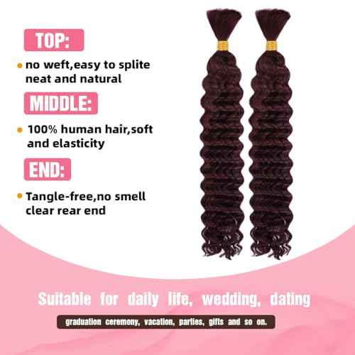 Human Braiding Hair, 2 Bundle 100g 20 Inch Boho Braids Human Hair 10A Deep Wave Bulk Brazilian Virgin No Weft Wavy Hair Extension for Boho Knotless Bohemian Micro Braid Bulk for Braiding 99J