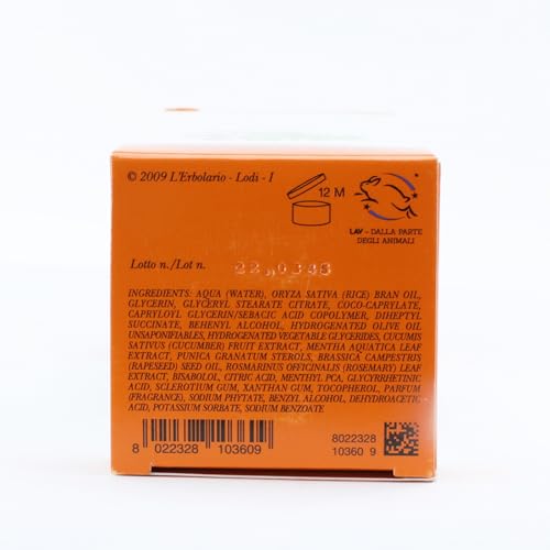 L'Erbolario Rinfresca Sole Refreshing After-Sun Cream - Light Texture - With Extracts Of Water Mint And Cucumber - Protective And Emollient Properties - Skin Is Left Nourished And Refreshed - 6.7 Oz