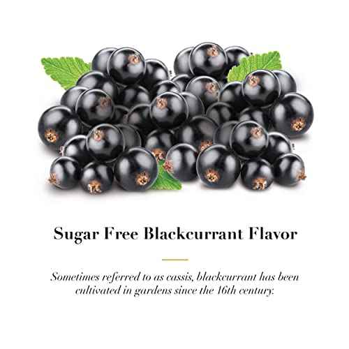 DOOLITTLE Dr Sugar Free Soft Fruit Pastilles for Voice and Throat, Blackcurrant Flavor, Travel Size Bag, Approximately 4 Count Package, 20 Pack