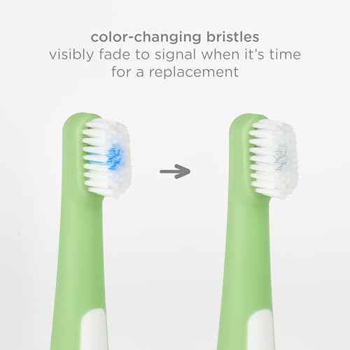 Ubbi Grow with Me Toothbrush Training Set for Babies and Toddlers, Includes One 360¡Æ Food-Grade Platinum Silicone and One Soft Bristled Toothbrush, Smoothie Purple and Zest Green