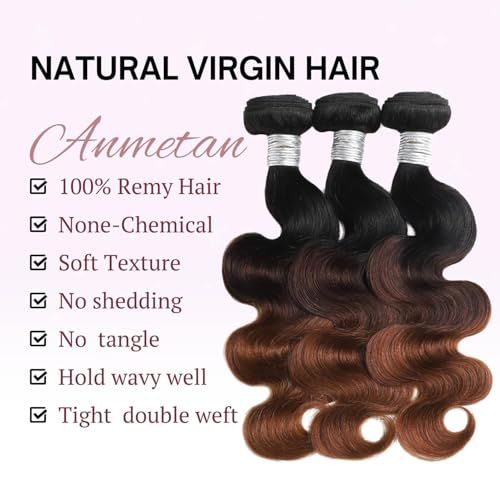 12A Ombre Body Wave Bundles Human Hair, T1B/2/30 Chestnut Brown 3 Tone Colored Human Hair 3 Bundles With Dark Roots 100% Remy Hair Thick Wavy Keep Soft after Washing 8/10/12 Inch