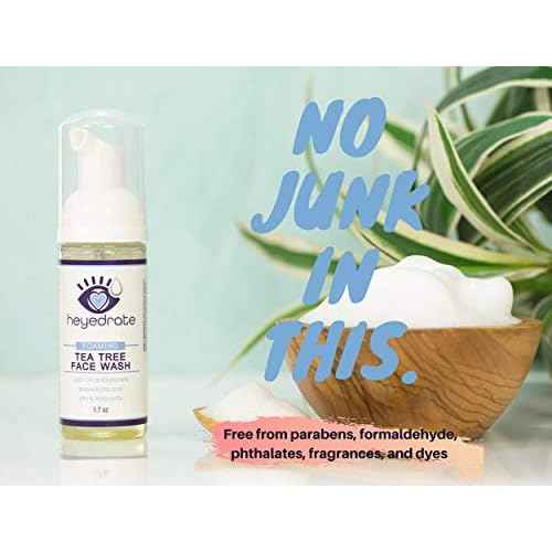 Foaming Tea Tree Face Wash and Eyelid Cleanser for Women - Made With Organic Ingredients & Aloe Vera, 3 Pack - 1.7 Ounces