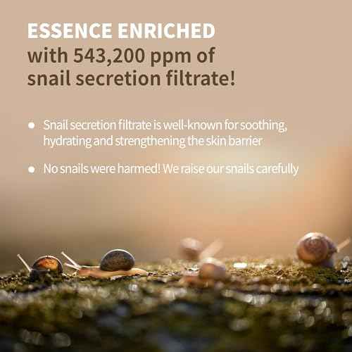 BENTON Snail Bee High Content Lotion 120ml (4.05 fl oz.) - Snail Mucin Moisturizer With Bee Venom | Hydrating Korean Skin Care Facial Moisturizer For Dry Skin & Combination skin