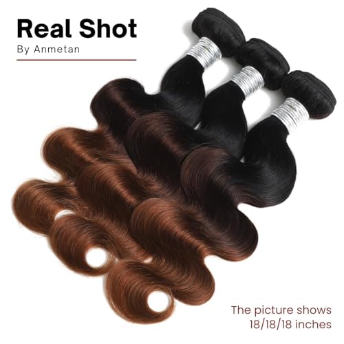 12A Ombre Body Wave Bundles Human Hair, T1B/2/30 Chestnut Brown 3 Tone Colored Human Hair 3 Bundles With Dark Roots 100% Remy Hair Thick Wavy Keep Soft after Washing 8/10/12 Inch