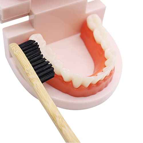 Extra Hard Bamoo Toothbrush 8 Pieces of One Pack Firm Bristles Super Hard Toothbrush