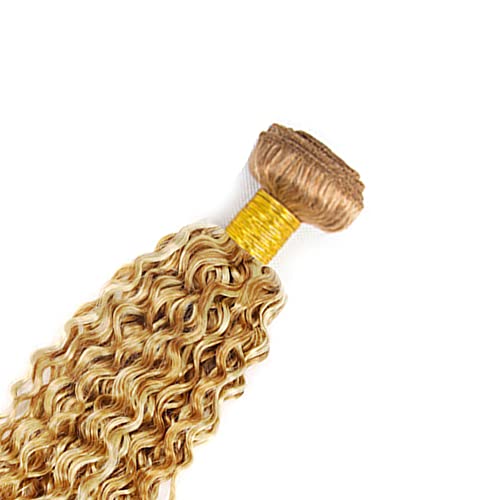 Blonde Bundles Human Hair P27/613 Kinky Curly Bundle 613 Wet and Wavy Bundles 18 20 22 inch 613/27 Human Hair Extensions
