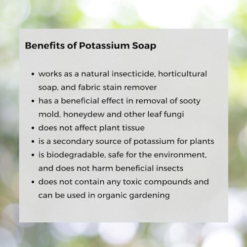 Ecoworm Organic Potassium Soap Concentrate ? Plant-Based Horticultural Formula | Natural Potassium Soap for Plants & Garden Care | Concentrated Organic Soap for Dilution (34 fl oz)