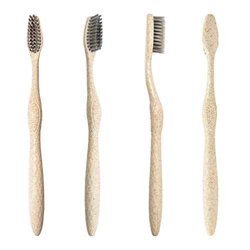 Bleeker and Rowe Biodegradable Eco-Friendly Toothbrushes - Individually Sealed - BPA Free Soft Bristles - Sustainable - Recycled Packaging (Pack of 100)