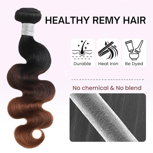 12A Ombre Body Wave Bundles Human Hair, T1B/2/30 Chestnut Brown 3 Tone Colored Human Hair 3 Bundles With Dark Roots 100% Remy Hair Thick Wavy Keep Soft after Washing 8/10/12 Inch