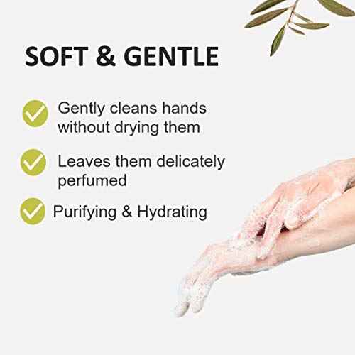 Cucina Fruits & Passion Sea Salt and Amalfi Biodegradable Liquid Hand Soap Refill 33.8 Ounces - 2 Pack