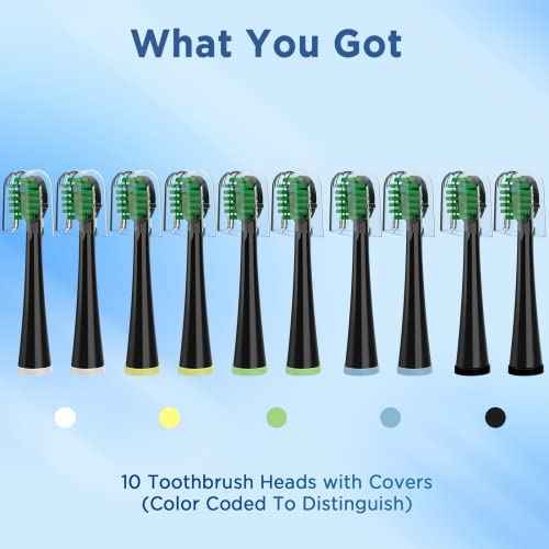 Replacement Toothbrush Heads for All Waterpik Sonic Fusion Models (SF-01, SF-02, SF-03, and SF-04 Series), Compact, with Covers, 10 Count, Black