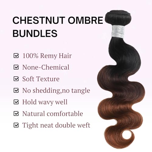 Chestnut Brown Ombre Color T1B/2/30 Human Hair Body Wave Single Bundle, Thick 12A Brown 3 Tone Ombre Bundles With Dark Roots 100% Remy Hair Wavy Sew In Quick Weave Keep Soft after Washes 12 IN