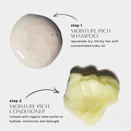 Priv? Moisture Rich Conditioner nourishes dry hair/smoothes frizz/contains organic shea butter