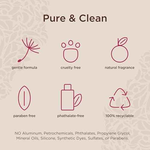 Lavanila Pure Vanilla Perfume Set for Women (1.7 Fl Oz + 10ml Roller-Ball) - Pure Madagascar Vanilla Fragrance, Clean and Natural Eau de Parfum Made In USA