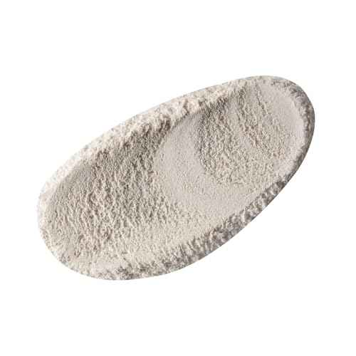 G.M. COLLIN Active Exfoliant Powder | Exfoliating Face Cleanser with Salicylic Acid and Papaya Enzyme | Gentle Daily Facial Scrub with Niacinamide