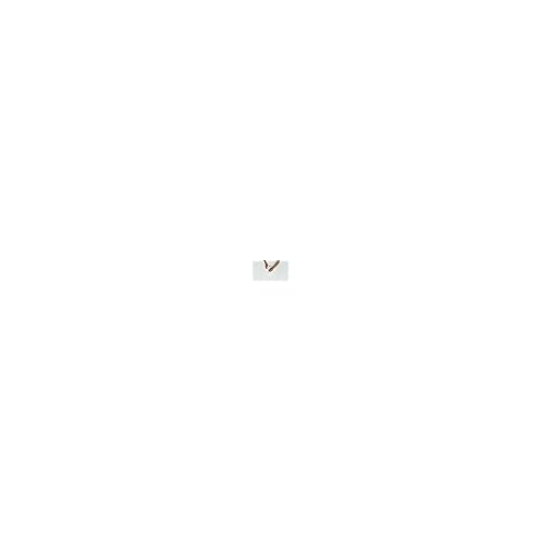 Lacoste Eau de Toilette Spray for Men, Eau De Lacoste L.12.12 Noir, 3.3 Ounce