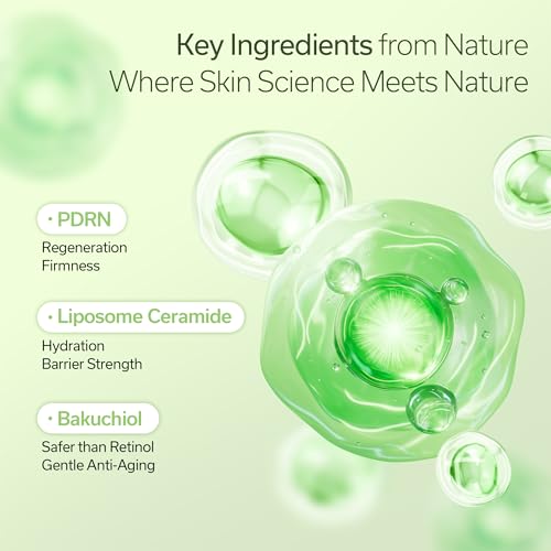 Wrapping Layer Cream, Elasticity Face Cream with Usnea PDRN, Anti-Aging Moisturizer for Pore Care, Sensitive Skin & Hydration Clinically tested Korean Skincare 50ml/1.69 fl oz.