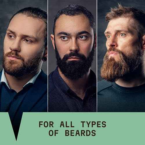 Striking Viking Beard Shampoo with Tea Tree, Biotin & Jojoba Oil - 17 oz Deep Cleansing, Paraben & Sulfate Free for All Beard Types