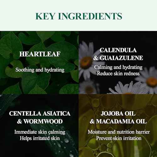 DERMALOGY by NEOGENLAB Real Heartleaf Soothing Cream 80g