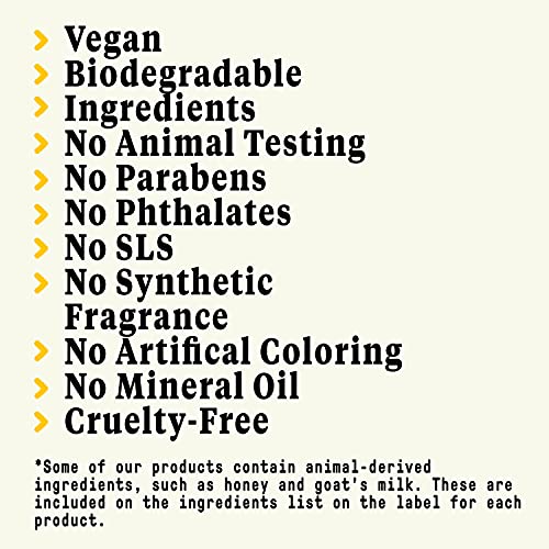 Alaffia EveryDay Shea Shampoo, Gentle Cleansing Shampoo for Normal to Dry Hair, Made with Fair Trade Unrefined Shea Butter, No Parabens or Phthalates, Vanilla Mint, 2 pack - 32 Fl Oz Ea