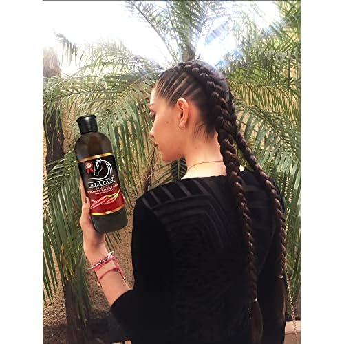 ALAZAN SHAMPOO OF HORSE, FOR HUMAN USE, WITH CHILE AND SABILA FOR OILY HAIR