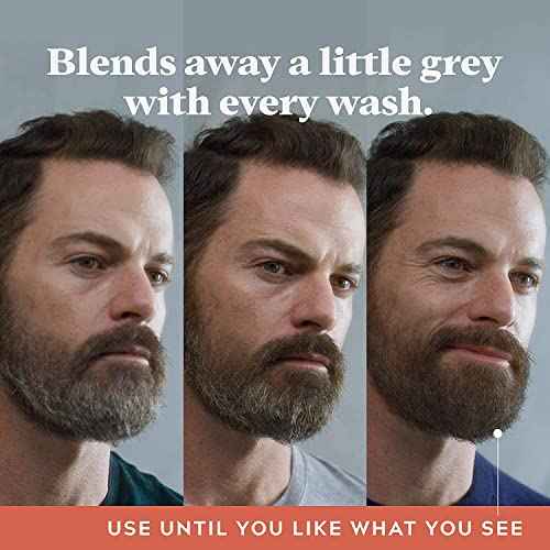 Just For Men Control Gx 4 Ounce Beard Wash Boxed (Pack of 6)