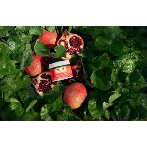 Weleda Replenishing Body Butter, 5.0 Fluid Ounces, Antioxidant Rich Formula with Pomegranate and plant extracts