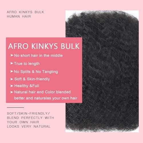 Afro Kinkys Bulk Human Hair for Dreadlocks Kinky Curly for Loc Extensions 100% Real Human Hair Afro Kinky-Curly Human Braiding Bulk Hair for Twist & Repair Locs 4 Packs 200 Gram 12 Inch Black