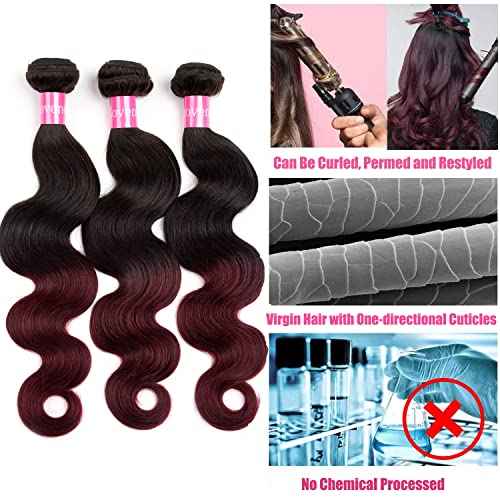 Ombre Brazilian Virgin Hair Body Wave Human Hair Bundles 12+14+16 inch 3 Bundles 100% Virgin Hair Bundles 2 Tone Black to Burgundy Human Hair Weave(12 14 16, T99J#)