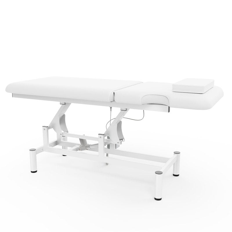 Professional Electric Massage Table, 2 Motors Hydraulic Electric Lift Adjustable Backrest and Height Lifting Functions for Treatment/Physical Therapy/Spinal Massage/Facial Spa/Waxing/Tattooing - White
