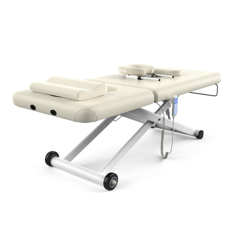 Dolonm Electric Massage Table, Heavy Duty Electric Lift and Electric Backrest 2 Motor Adjustable for Treatment/Medical Spa/Facial Bed/Beauty Bed/Massage Beds and More - 31.2 Wide x 75 Long, White
