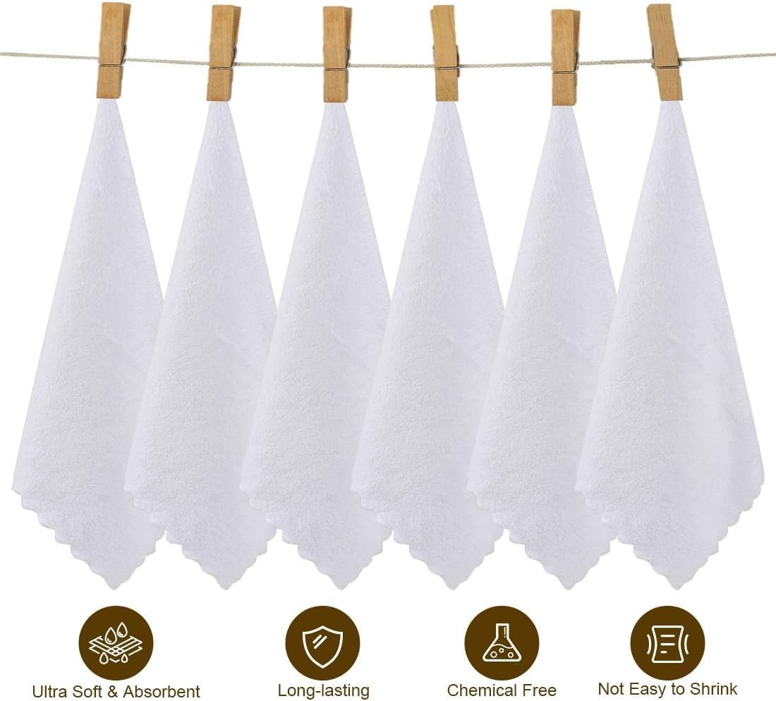 Orighty Ultra Soft Washcloths 12 Pack, Premium Microfiber Towel Sets 12 x 12 inches, Absorbent and Quick Drying Coral Velvet Washcloth, Multi-Purpose Wash Cloths for Bathroom, Hotel, and Gym (White)
